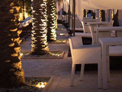guide-to-landscape-lighting-techniques-main-5