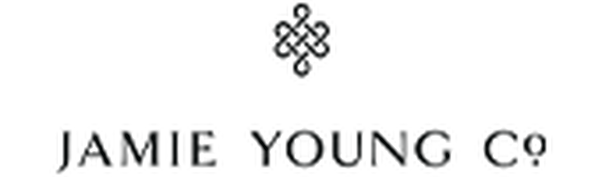 Presidents' Day Sale | Jamie Young Co