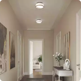 Flush mounts provide attractive hallway lighting without taking up excessive space