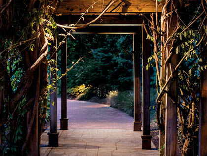 guide-to-landscape-lighting-techniques-main-4