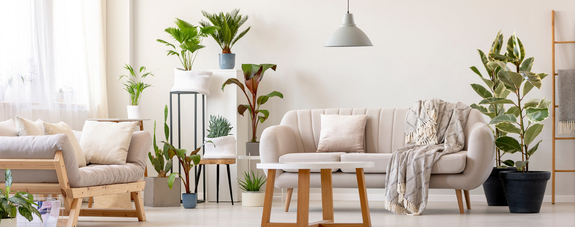 Semi-Annual Sale | Save up to 55% Off furniture & decor! Use code: SEMISALE323 |