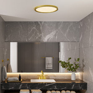 Shop Bathroom Flush Mounts