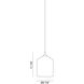 Irresistible Organic Charm 1 Light 10 inch Clear Pendant Ceiling Light