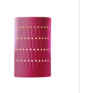 Ambiance 1 Light 9.25 inch Cerise Outdoor Wall Sconce
