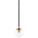 Particles 1 Light 6 inch Aged Gold Brass Pendant Ceiling Light in Aged Gold Brass and Clear