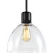 Zigrina 1 Light 10.25 inch Satin Brushed Black Pendant Ceiling Light