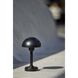 Ollie 12.5 inch 2.00 watt Black Cordless Table Lamp Portable Light