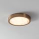 Argyle LED 12 inch Champagne Gold Flush Mount Ceiling Light