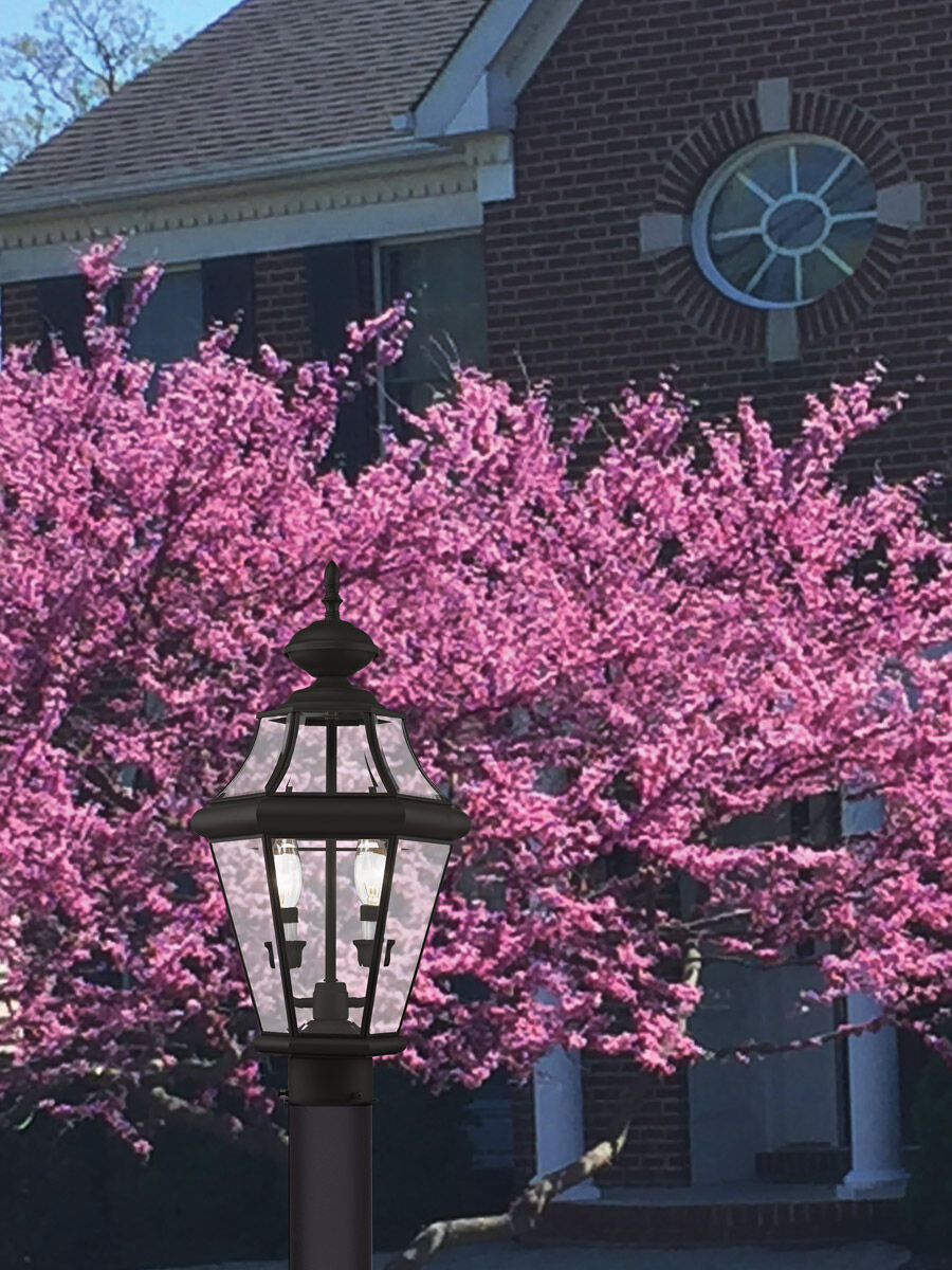Georgetown 2 Light 21 inch Black Outdoor Post Top Lantern