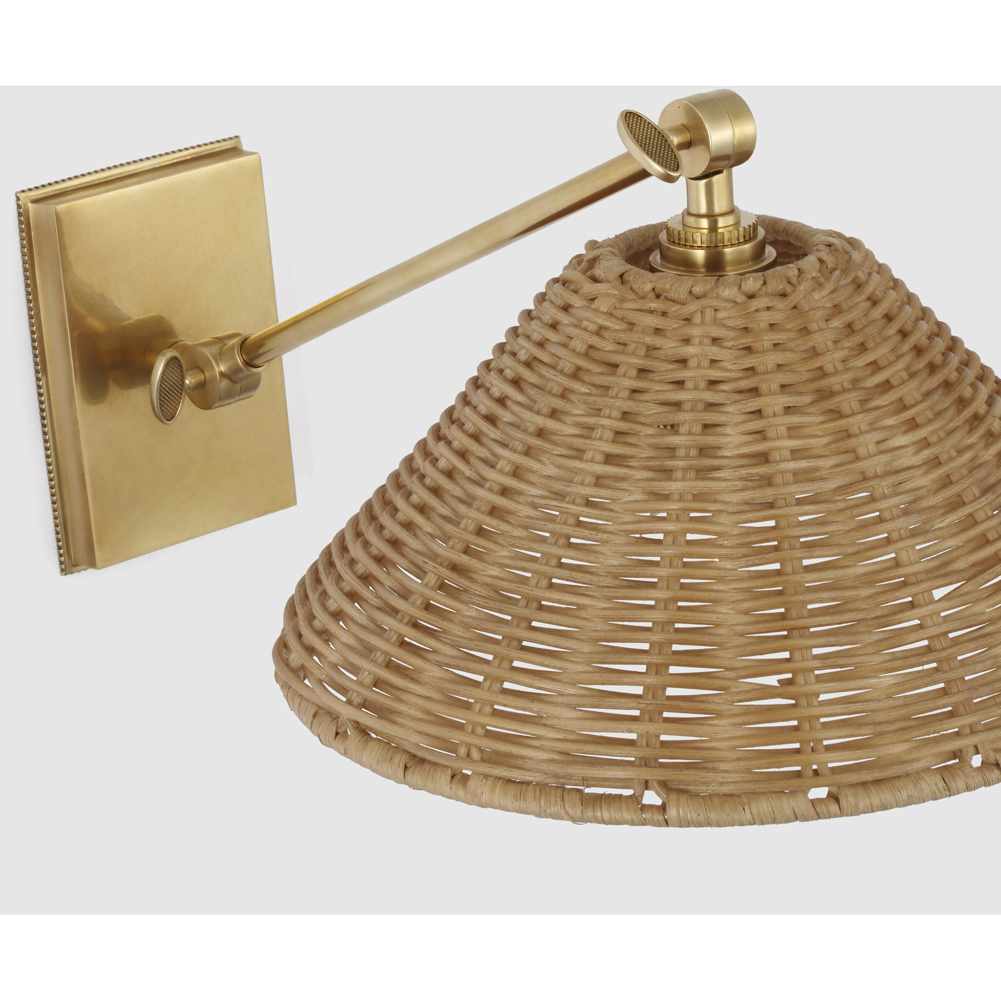Marie Flanigan Wimberley LED 10 inch Soft Brass Single Library Wall Light