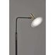 Lucas 54 inch 6.00 watt Black with Antique Brass LED Floor Lamp Portable Light