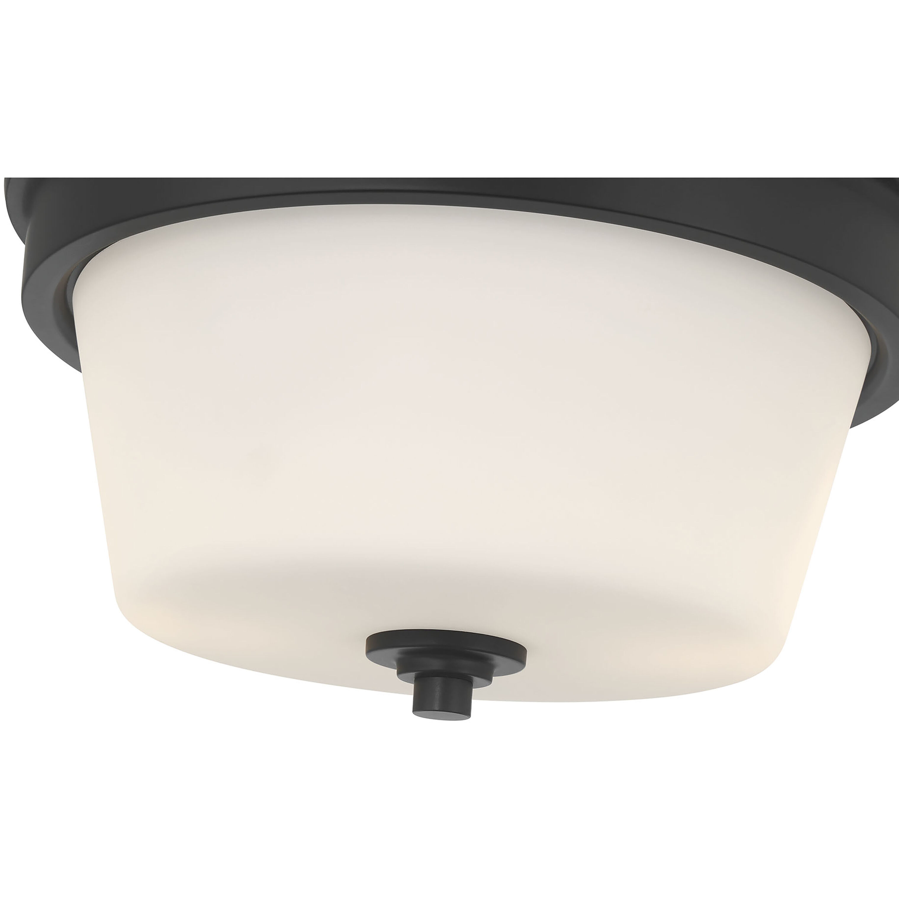 Strayhan 2 Light 13 inch Matte Black Flush Mount Ceiling Light