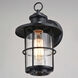 Lake Shore LED 10 inch Textured Black Outdoor Wall