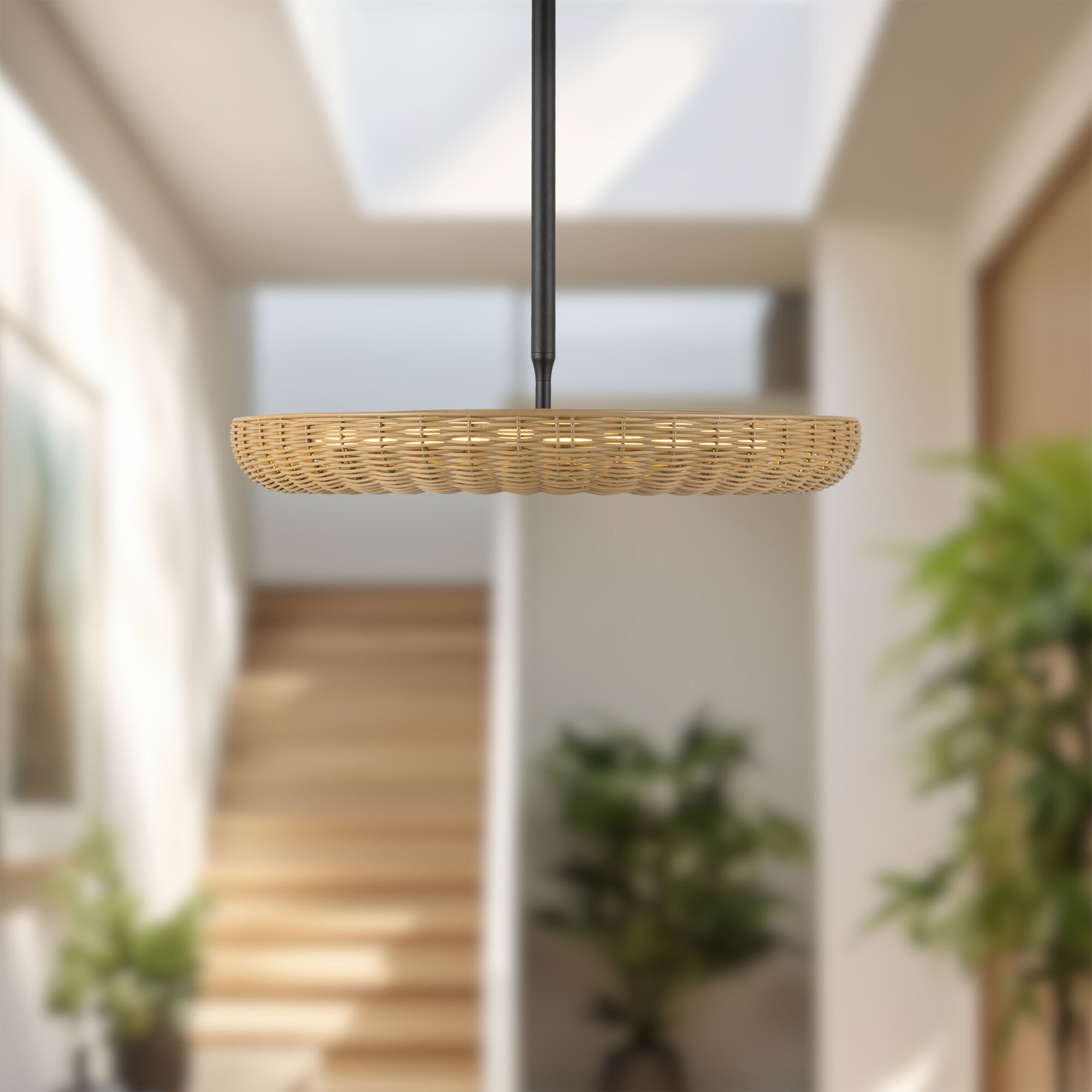 Alora Mood Maris LED 24.13 inch Matte Black Chandelier Ceiling Light