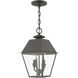 Wentworth 2 Light 9 inch Charcoal Outdoor Pendant Lantern, Medium