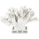 Coral 11.75 X 8.25 inch Sculpture, Set of 2