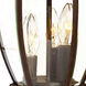 Wexford 3 Light 18 inch Burled Walnut Exterior Wall Mount