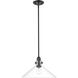 Dwyer 1 Light 15 inch Matte Black Pendant Ceiling Light