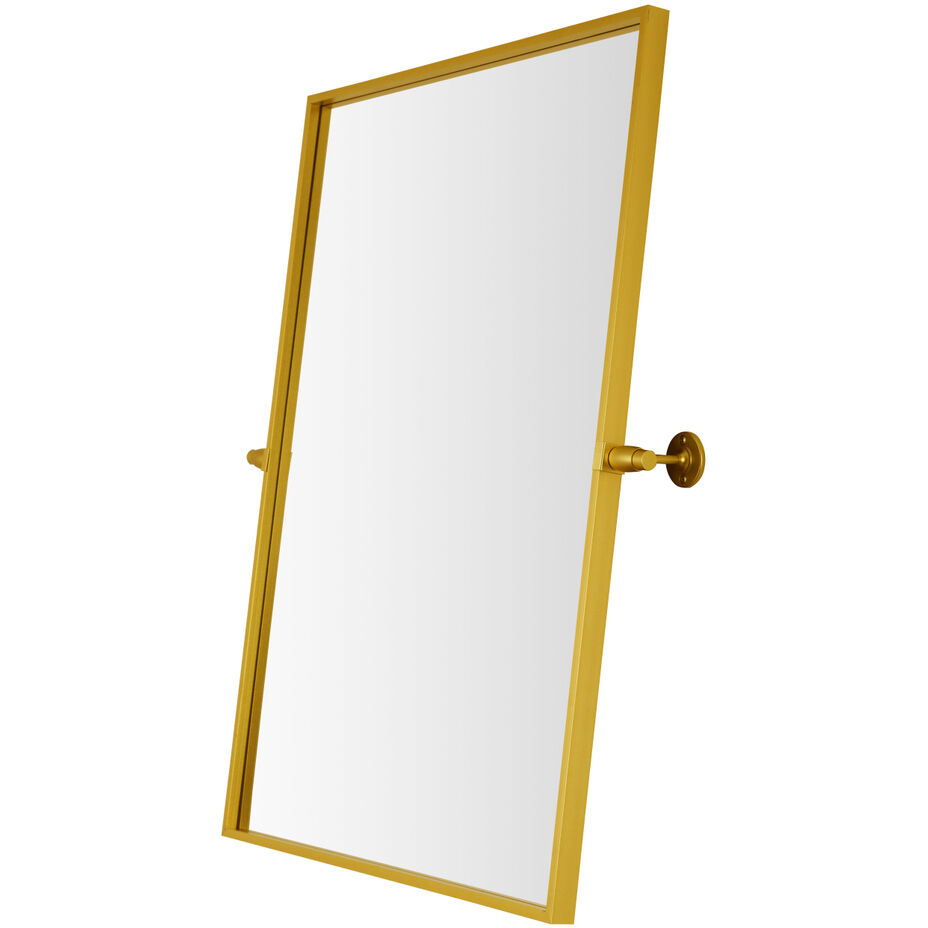 Everly 32 X 24 inch Gold Mirror