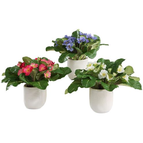Trilogy Primrose Periwinkle and White and Fuchsia Primrose Accents in Vases, Set of 3