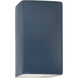 Ambiance Collection LED 13.5 inch Midnight Sky Outdoor Wall Sconce