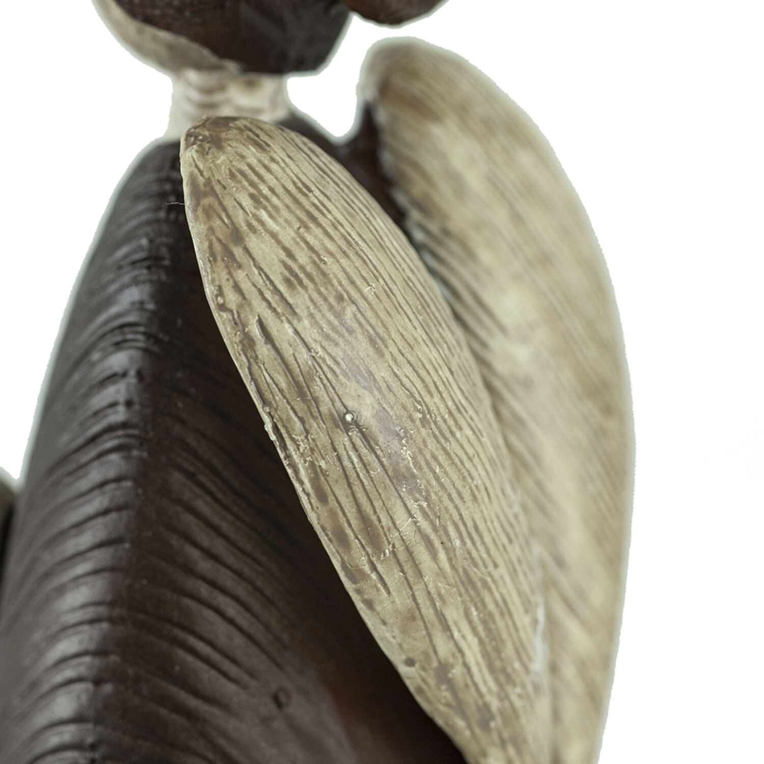 Anita Multi-Color Holiday Décor