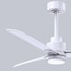 Atlas Alessandra-LK 42 inch Matte White Indoor/Outdoor Ceiling Fan