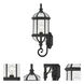 Boxwood 1 Light 22 inch Textured Black Outdoor Wall Lantern