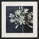 Florals Collection Black Framed Art