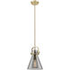 Downtown Urban Newton Cone 1 Light 8 inch Champagne Bronze Mini Pendant Ceiling Light in Light Smoke Glass