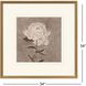 Pretty as a Peony Beige and Brown and Neutral Framed Art