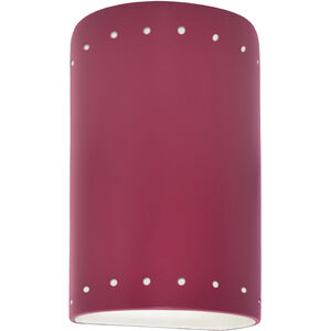 Ambiance Collection LED 9.5 inch Cerise Outdoor Wall Sconce