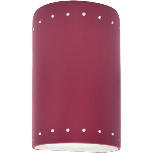 Ambiance Collection LED 9.5 inch Cerise Outdoor Wall Sconce