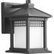 Hedwig 1 Light 8 inch Textured Black Outdoor Wall Lantern