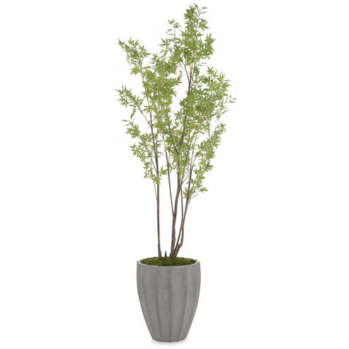 Rocky Decorative Plant