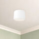 Uma 15.13 inch White Semi-Flush Mount Ceiling Light