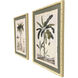 Palm Study II Green and Beige and Brown Framed Art