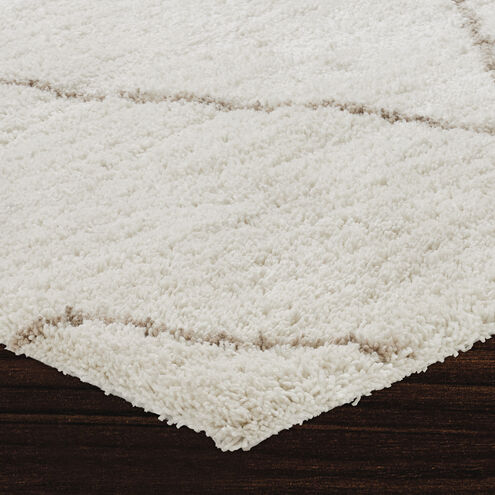 Allen 48 X 36 inch Off-White and Champagne Indoor Rug, 3’ x 4’ ft