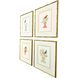 Bird with Shell Multi and Blue and Green and Orange Framed Art