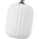 Cabot 1 Light 10 inch Oil Rubbed Bronze Pendant Ceiling Light 