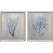 Oceanic Curiosity Blue and Metallic Framed Art, The Studio