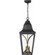 Cardigan 3 Light 11 inch Sand Coal and Olden Brass Outdoor Pendant, Great Outdoors