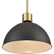Zayne 1 Light 12 inch Matte Black Pendant Ceiling Light
