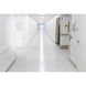 Lumos LED Medium Bi Pin 4000K LED T8