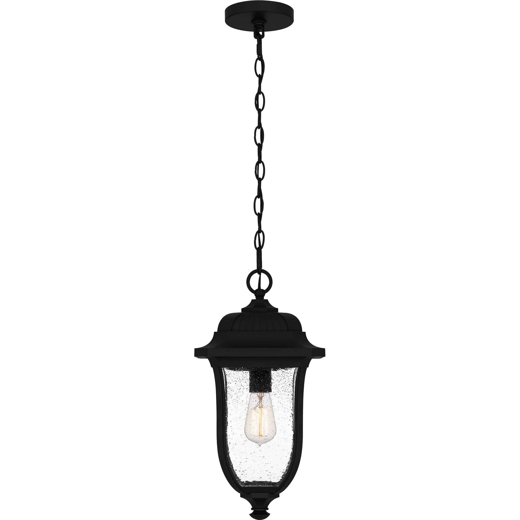 Mulberry 1 Light 9 inch Matte Black Outdoor Hanging Lantern