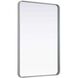 Remy 42 X 28 inch Silver Mirror