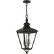 Adams 3 Light 10.63 inch Black with Brushed Nickel Finish Cluster Outdoor Large Pendant Lantern Ceiling Light in Black with Brushed Nickel Accent