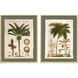 Palm Study I Green and Beige and Brown Framed Art