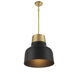 Vintage 1 Light 17 inch Matte Black with Natural Brass Pendant Ceiling Light