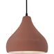 Radiance LED 11.5 inch Canyon Clay and Matte Black Pendant Ceiling Light